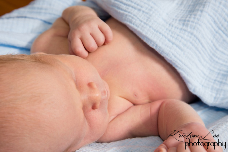 Newborn Photography, Florida Newborn Photographer, New Hampshire Newborn Photographer, New Hampshire Newborn Photographers, Newborns, Photographer, Photography, Florida Photographer, New Hampshire Photographer, FL Photographer, Spring Hill FL Photographer, Boston Photographer